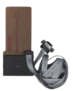 season2.gif (9852 Byte)